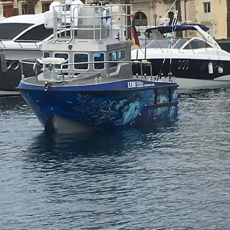 بوتيل Lene